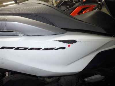 Honda Forza 2021