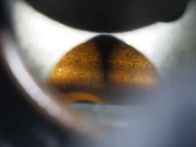 Honda Rebel CMX250 2019