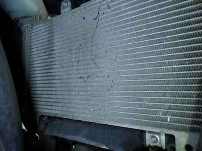 Kawasaki Ninja 250 2021