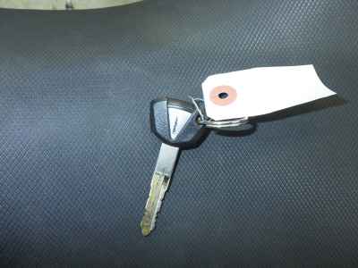 Kawasaki Ninja 250 2021