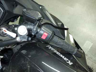 Kawasaki Ninja 250 2021