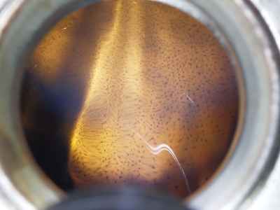 Suzuki GSX250S Katana