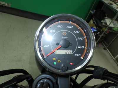 Harley-Davidson X500 2024