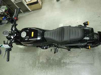 Harley-Davidson X500 2024