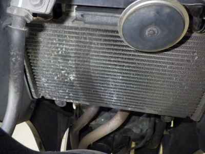 Kawasaki Ninja 250 2014