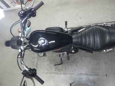 Harley-Davidson Sportster XL883R 2007