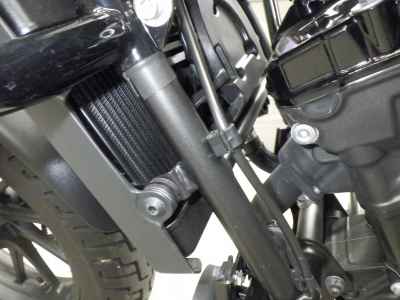 Honda Rebel S CMX250 2022