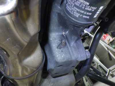 Kawasaki Z900RS 2025