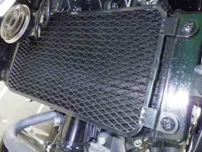 Suzuki V-Strom 250 2024