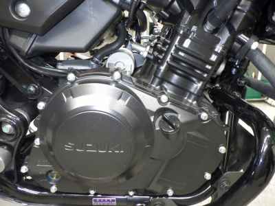 Suzuki V-Strom 250 2024