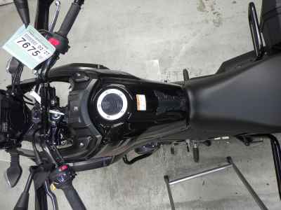 Suzuki V-Strom 250 2024