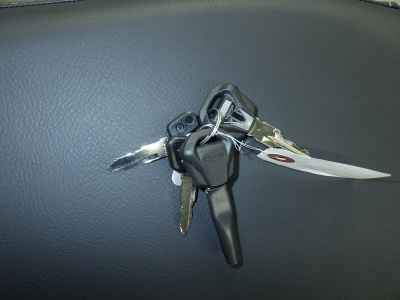 Triumph Speed Twin 900 2025