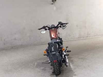 Harley-Davidson Sportster Forty-Eight XL1200X 2014