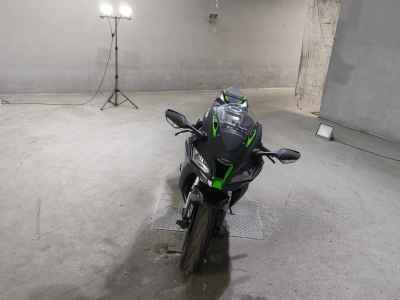 Kawasaki Ninja ZX-10R 2019