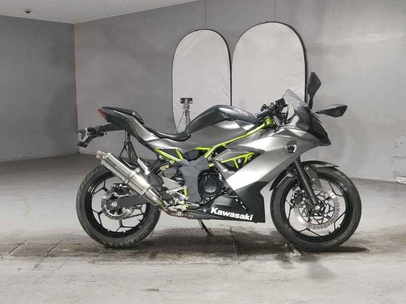Kawasaki Ninja 250 2018