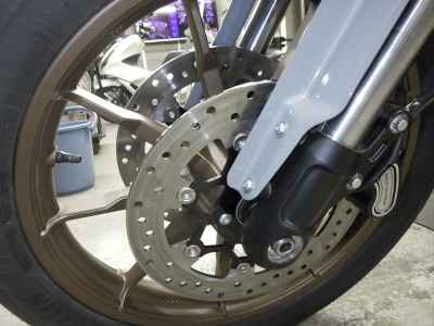 Harley-Davidson Low Rider ST FXLRST1920 2025