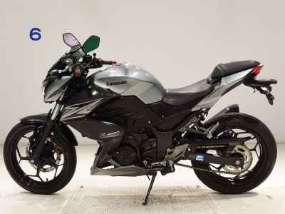 Kawasaki Z250 2015