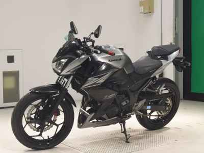 Kawasaki Z250 2015