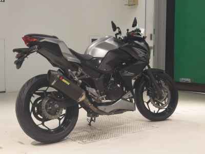 Kawasaki Z250 2015
