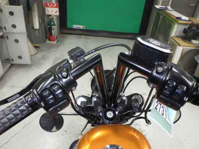 Harley-Davidson Sportster Forty-Eight XL1200X 2013