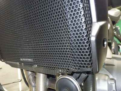 Triumph Trident 660 2023