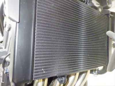 Honda CB650R E-Clutch 2024