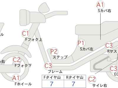 Yamaha Maxam 250 2006