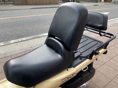 Honda PS250 Big Ruckus 2006