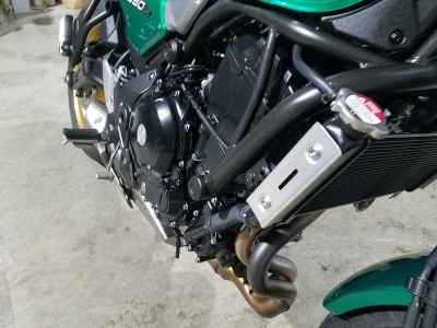 Kawasaki Z650RS 2024