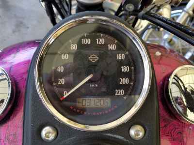 Harley-Davidson Low Rider FXDL1450 2016