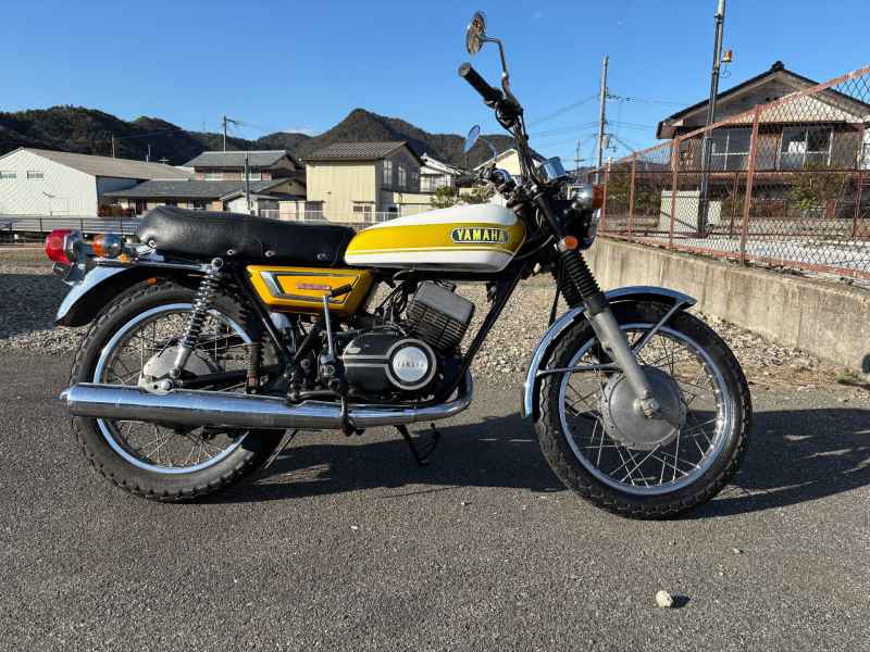 Yamaha DX250