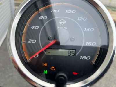 Harley-Davidson X500 2024