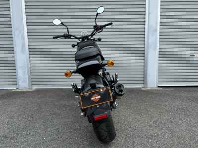 Harley-Davidson X500 2024