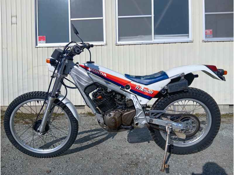 Honda TLR250R