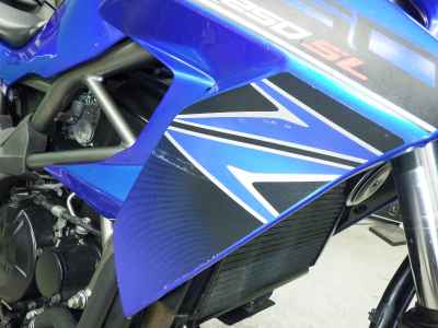 Kawasaki Z250SL 2016