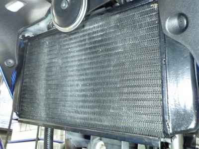 Kawasaki Z250SL 2016