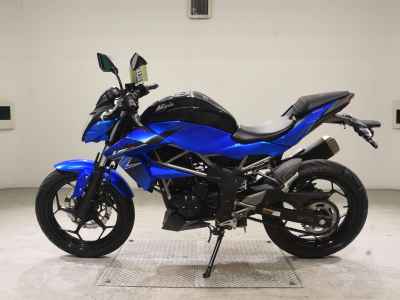 Kawasaki Z250SL 2016