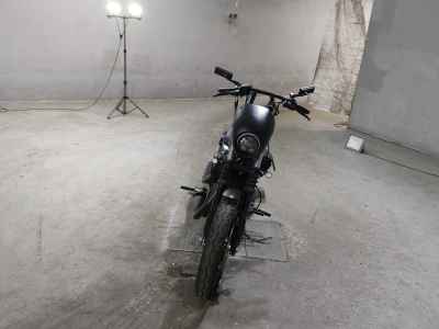 Harley-Davidson Sportster Iron XL883N 2009