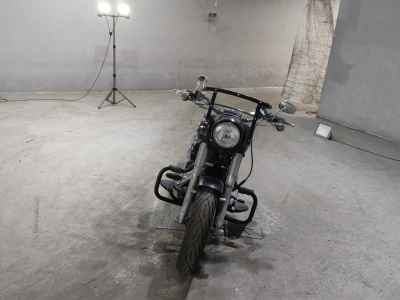 Harley-Davidson Slim FLS1580 2013