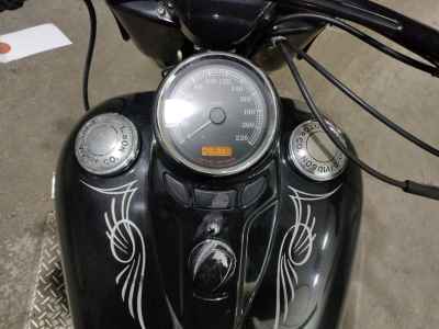 Harley-Davidson Slim FLS1580 2013