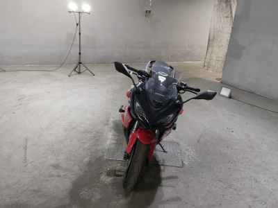 Kawasaki Ninja 1000SX 2024