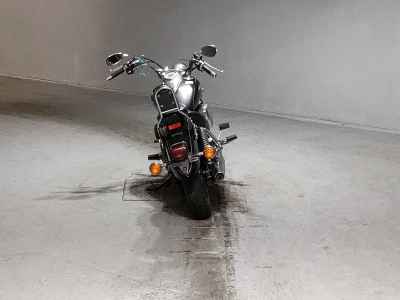 Yamaha XVS250 Drag Star