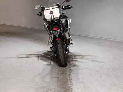 Triumph Tiger 900 Rally Pro 2023