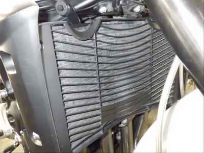 Yamaha FZ1 Fazer 2010