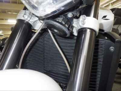 Yamaha FZ1 Fazer 2010