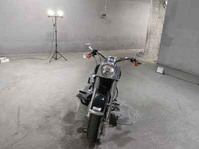 Harley-Davidson Deluxe FLSTN1580 2011