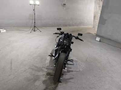 Harley-Davidson Sportster Forty-Eight XL1200X 2020