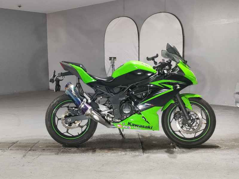 Kawasaki Ninja 250 2015