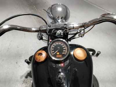 Harley-Davidson Cross Bones FLSTSB1580 2010