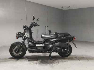 Honda PS250 Big Ruckus 2006